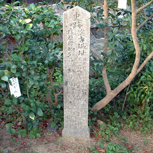 淀古城跡 画像
