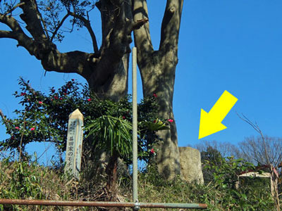 k170220a.jpg