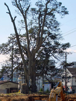 k170220b.jpg