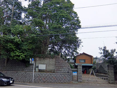 k170220d.jpg