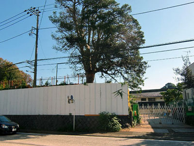 k170220e.jpg