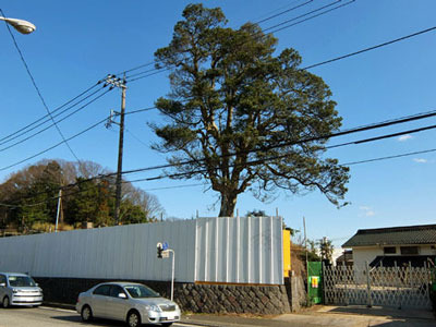 k170220f.jpg