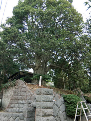 k170220g.jpg