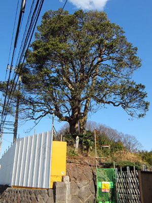 k170220i.jpg