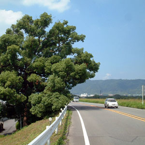 k171022.jpg