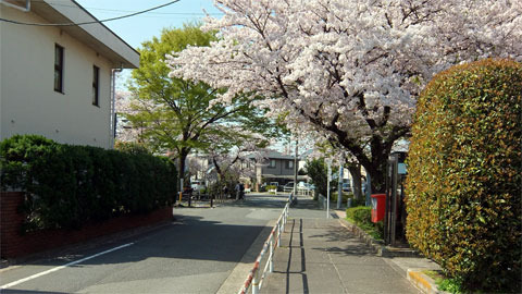 ko180401a.jpg