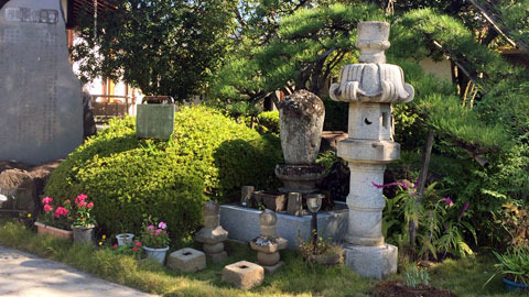 ko181029c.jpg