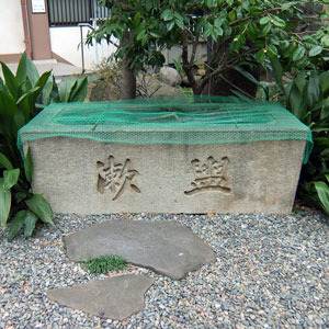 ko190227b.jpg