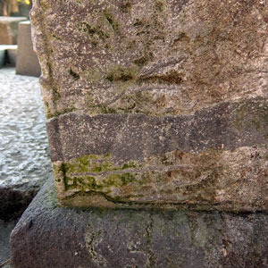 ni180420.jpg