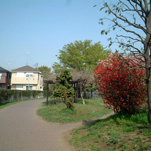 阿久和川遊歩道 画像