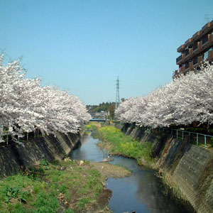 片曽橋からの風景 画像
