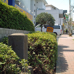 ツツジに埋もれた地神道標 画像