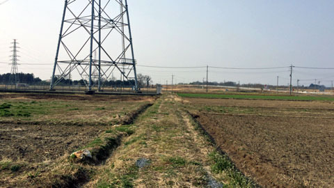 o170320a.jpg