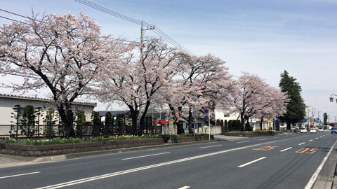 ou170417a.jpg