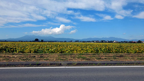 ou171001a.jpg